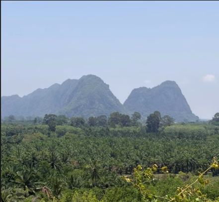ท่าชนะบ้านเรา